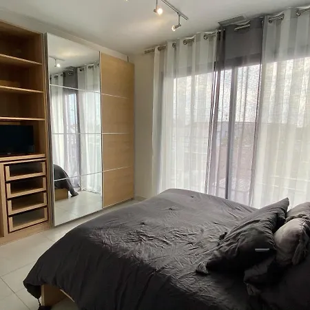 Flamants Roses 4 Accesible Pmr Aparthotel