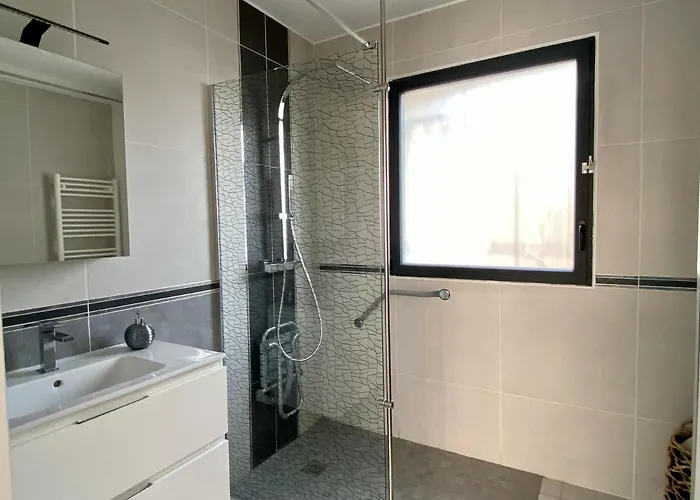 Flamants Roses 4 Accesible Pmr 弗龙蒂尼昂