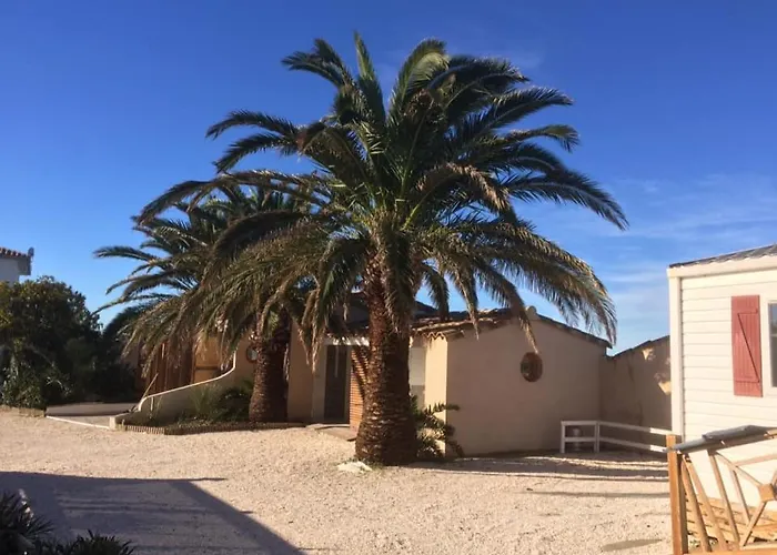 Flamants Roses 4 Accesible Pmr