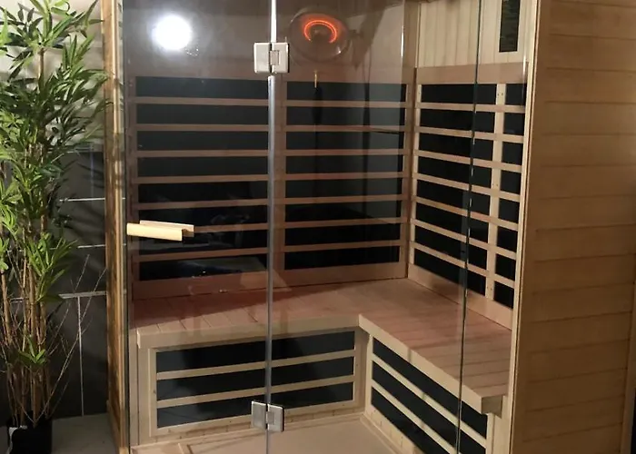 Flamants Roses 4 Accesible Pmr 弗龙蒂尼昂